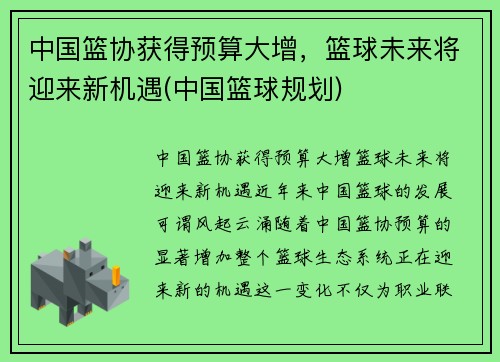 中国篮协获得预算大增，篮球未来将迎来新机遇(中国篮球规划)