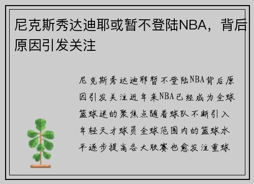 尼克斯秀达迪耶或暂不登陆NBA，背后原因引发关注